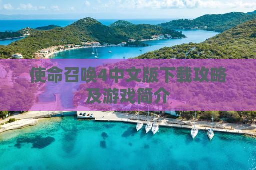 使命召唤4中文版下载攻略及游戏简介