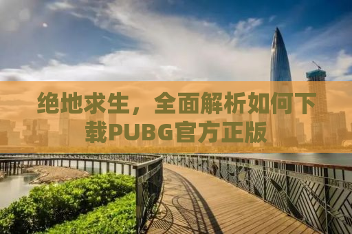 绝地求生，全面解析如何下载PUBG官方正版